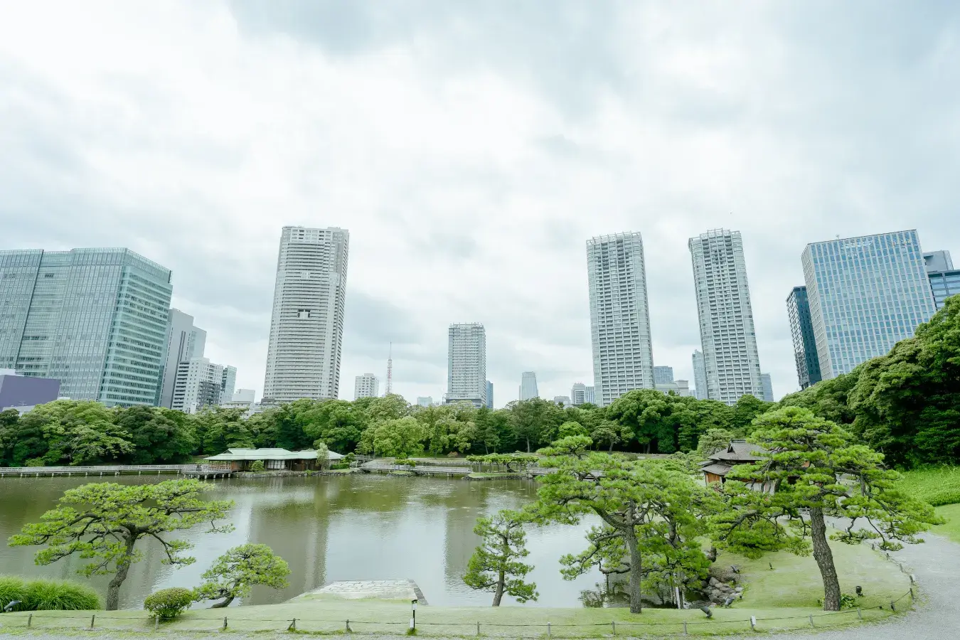 Essential Japan. Hama-Rikyu_Gardens