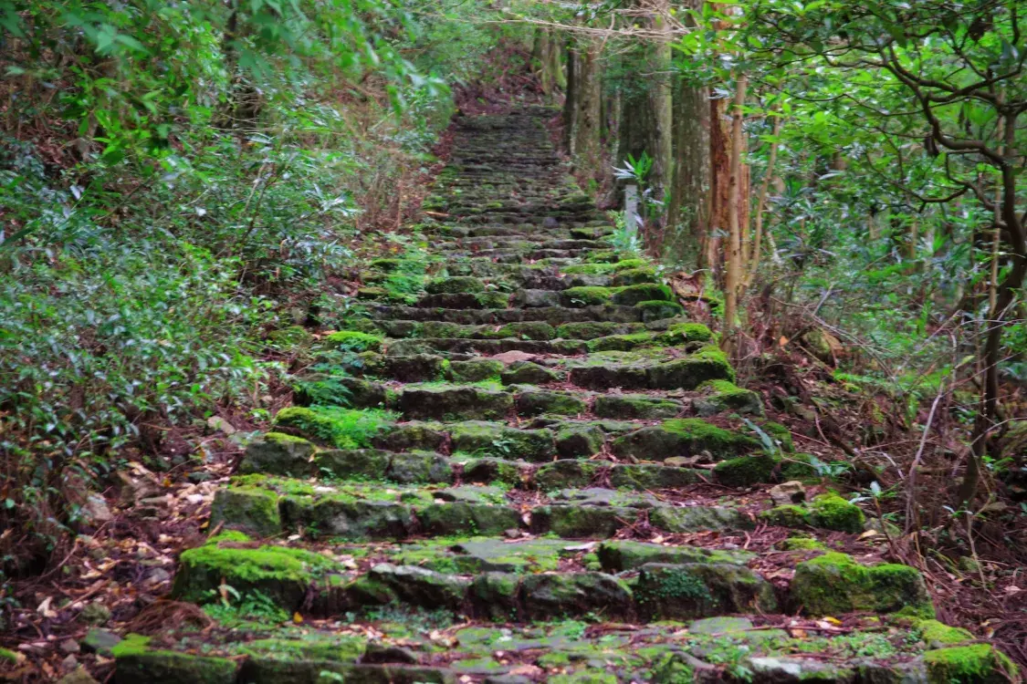 Japanese Trail. Kumano02_SingleImage_01