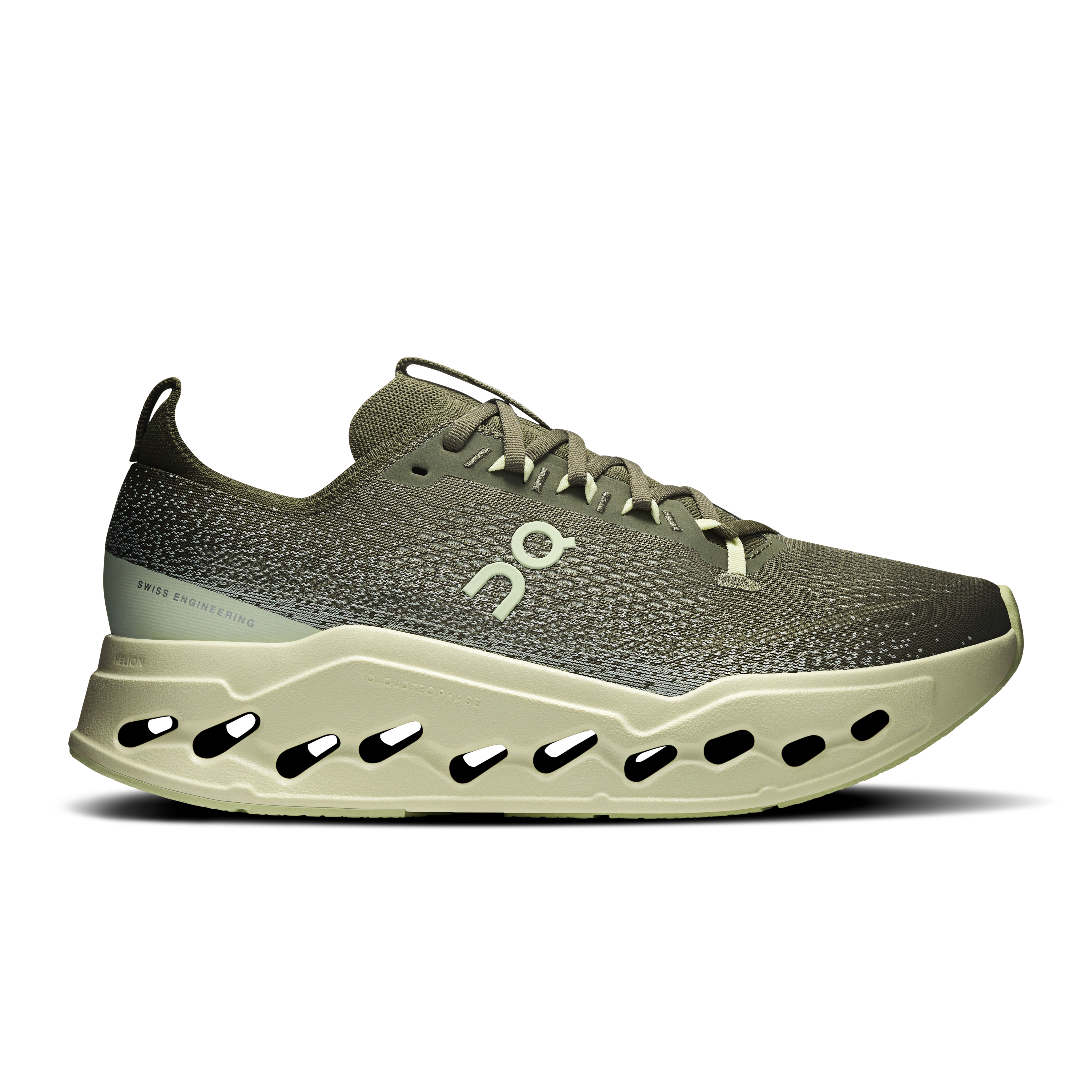 Olive | Seedling