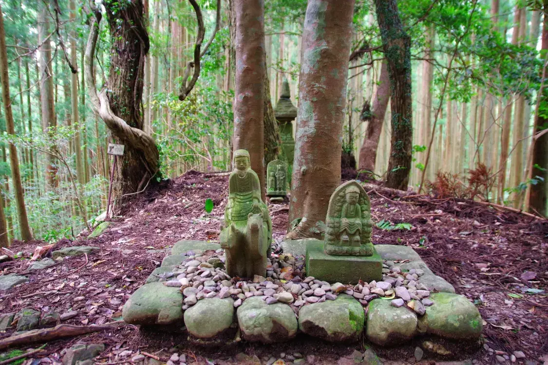 Japanese trail.SingleImage_13