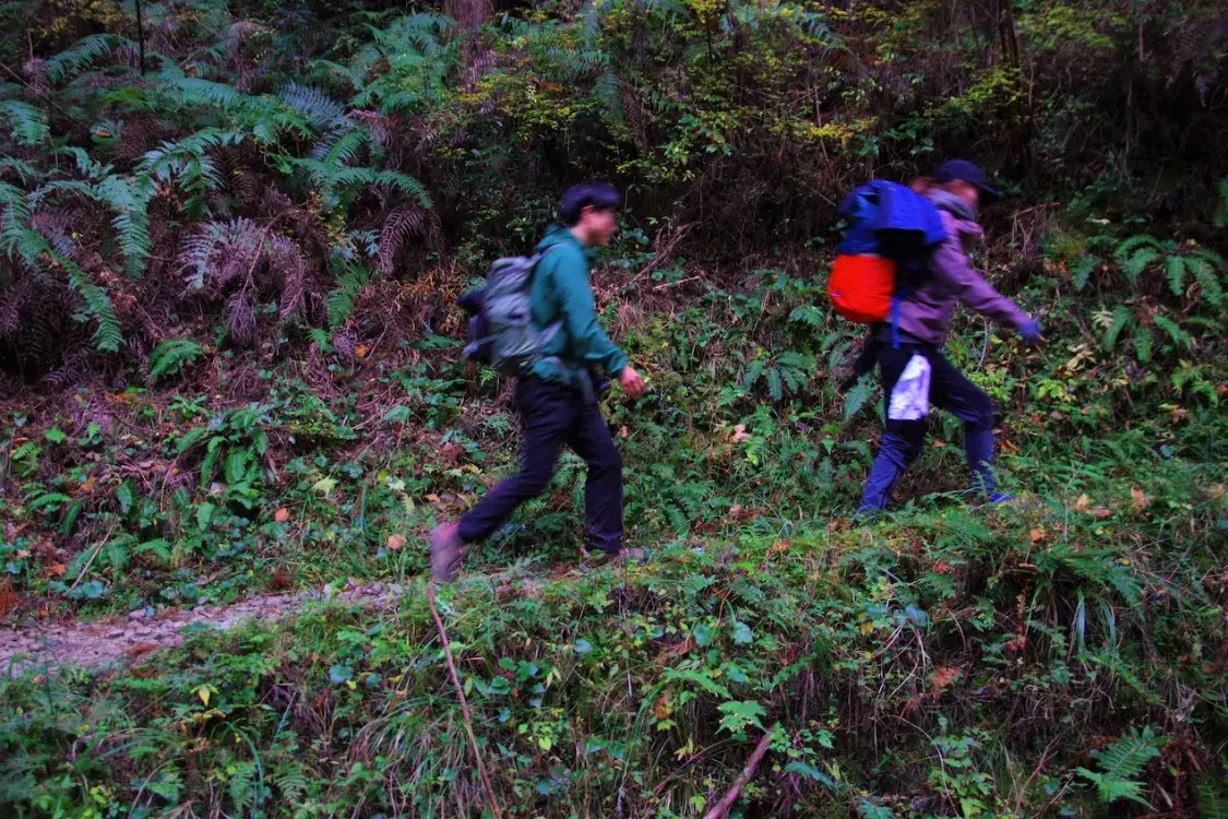 Japanese trail. SingleImage_12