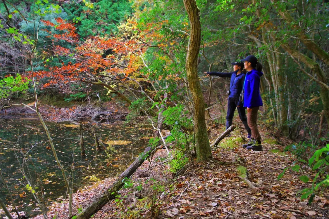 Japanese trail. SingleImage_10