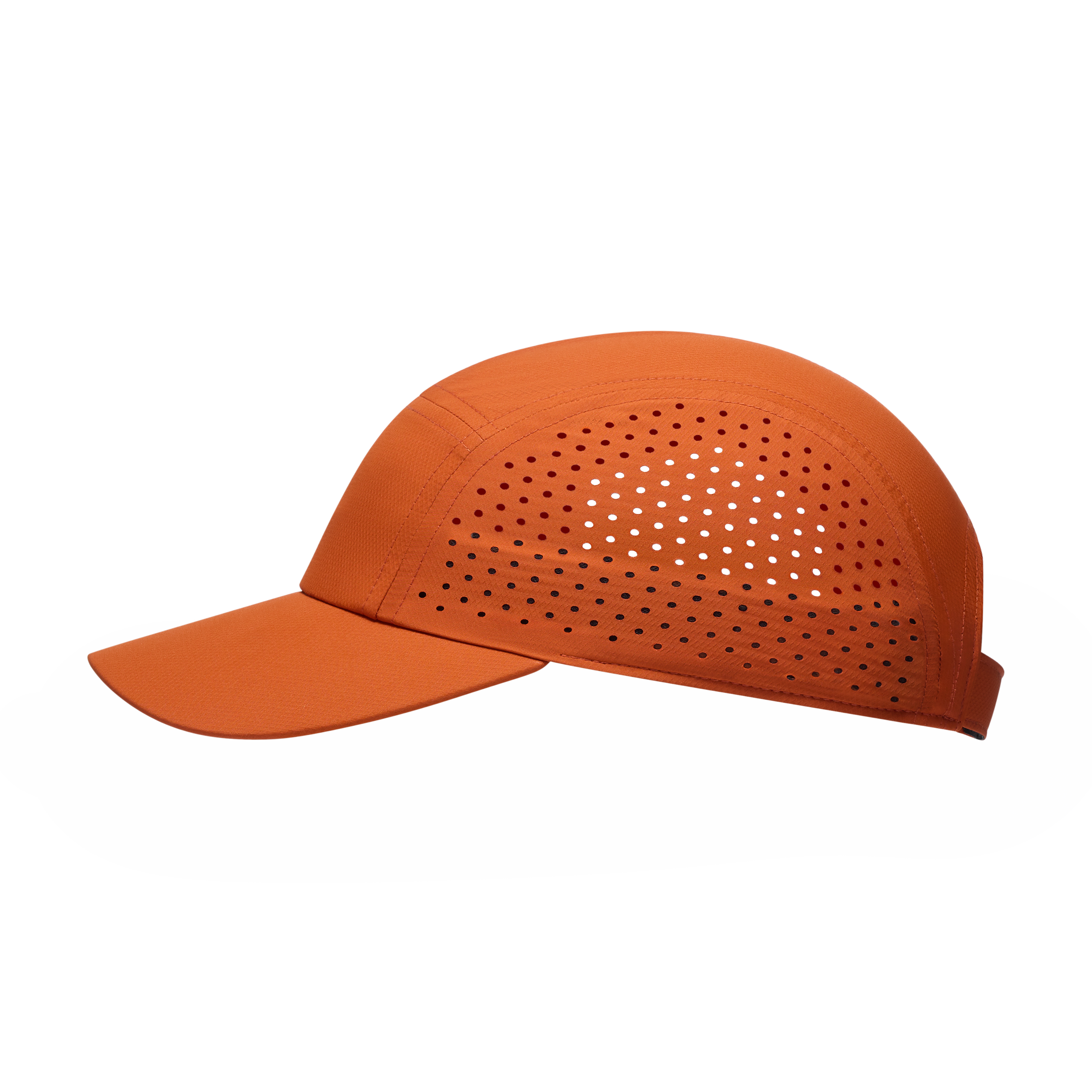 Cinnamon