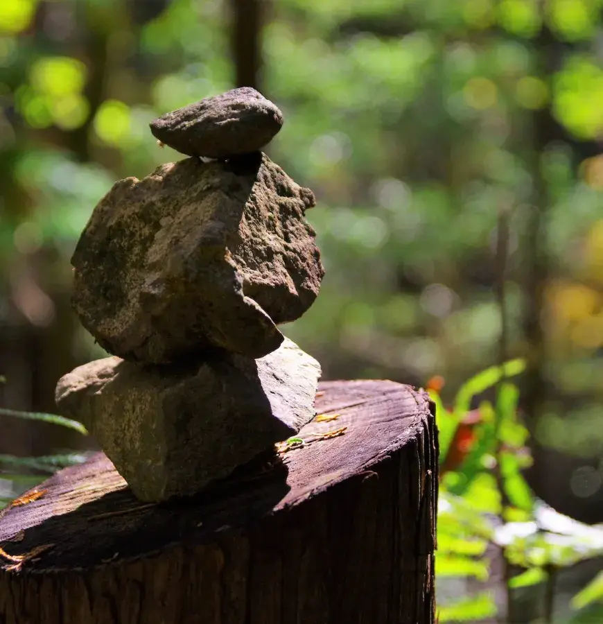 Japanese trail.stonepile