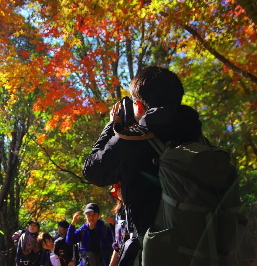 Japanese trail.Edit Kumano02_Gallery