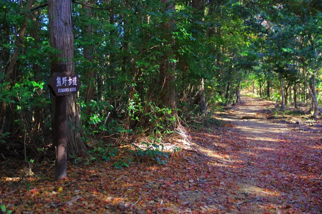 Japanese trail. SingleImage_09
