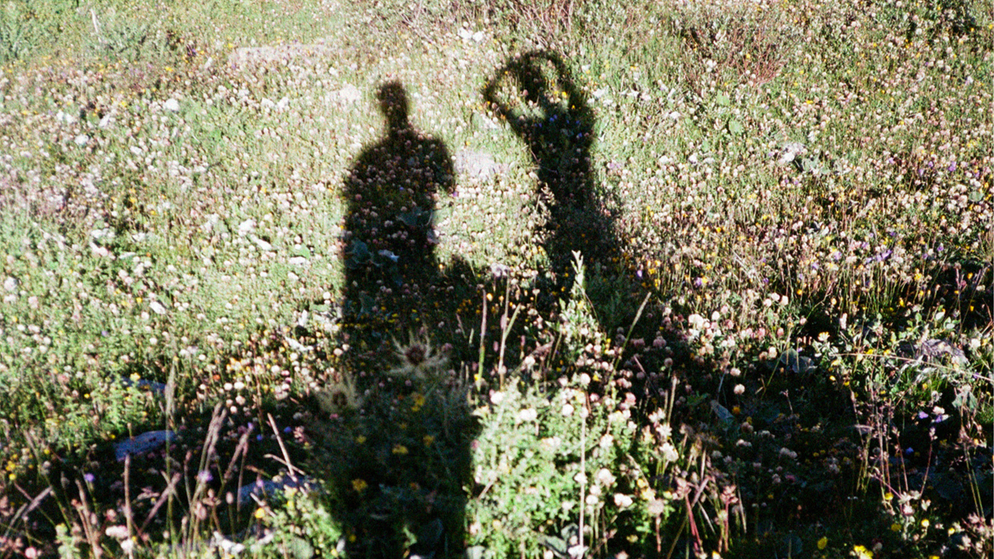 Les ombres de deux personnes se reflètent sur l’herbe