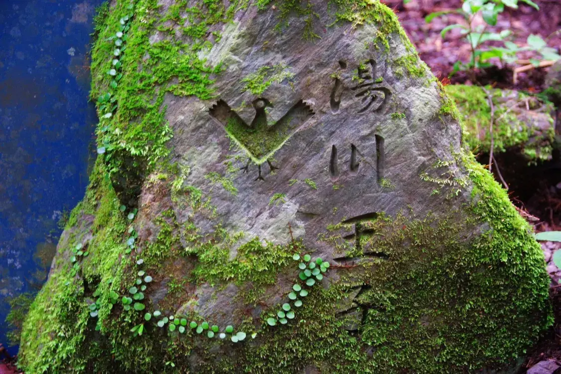 Japanese trail. Oji