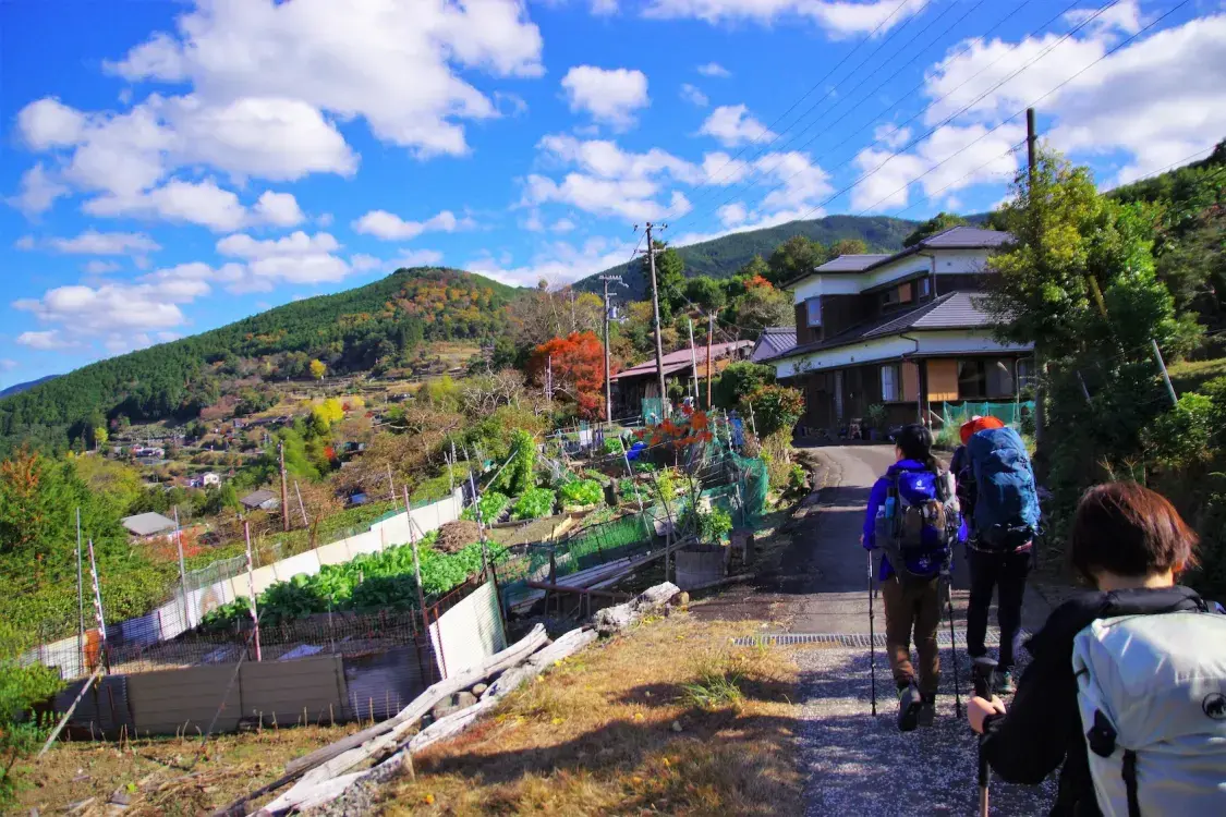 Japanese trail. SingleImage_06