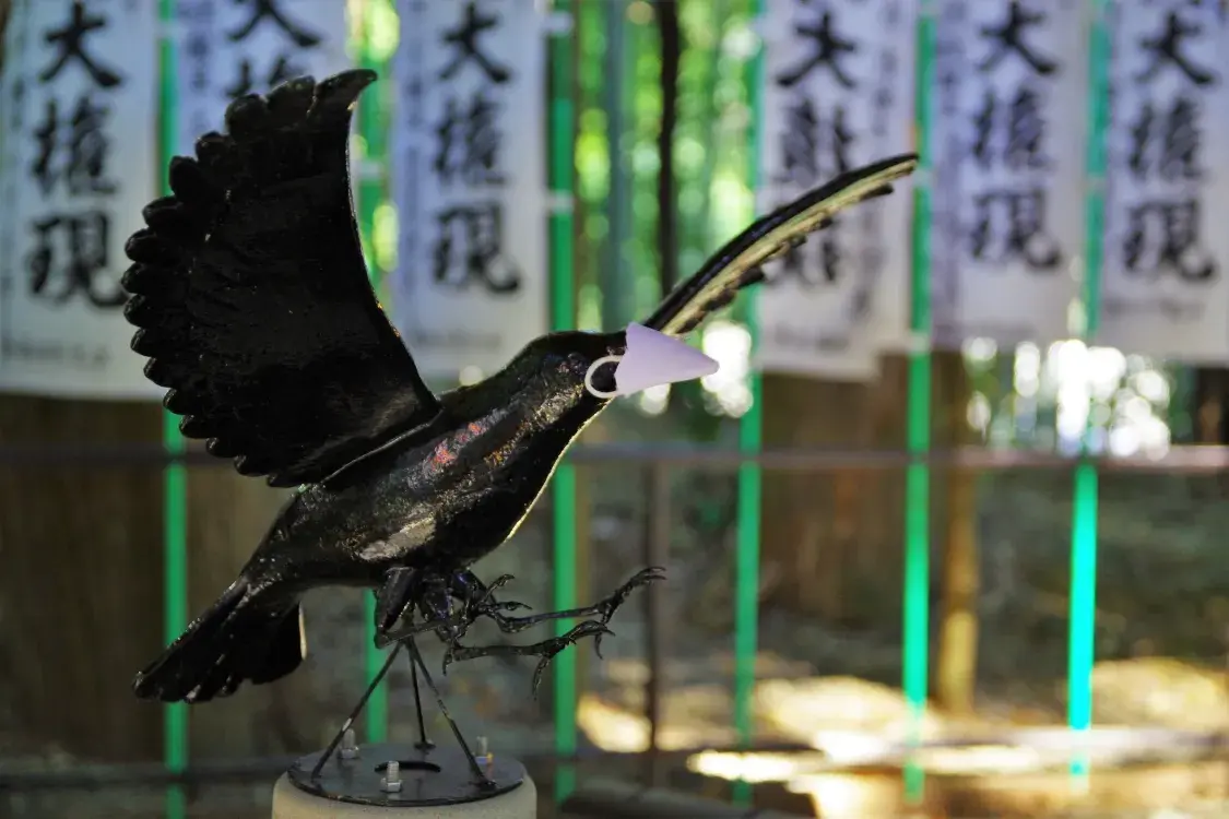 Japanese trail. Raven
