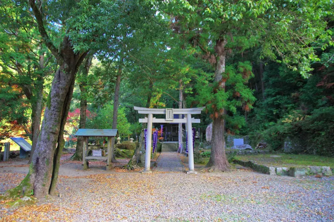 Japanese trail.SingleImage_02