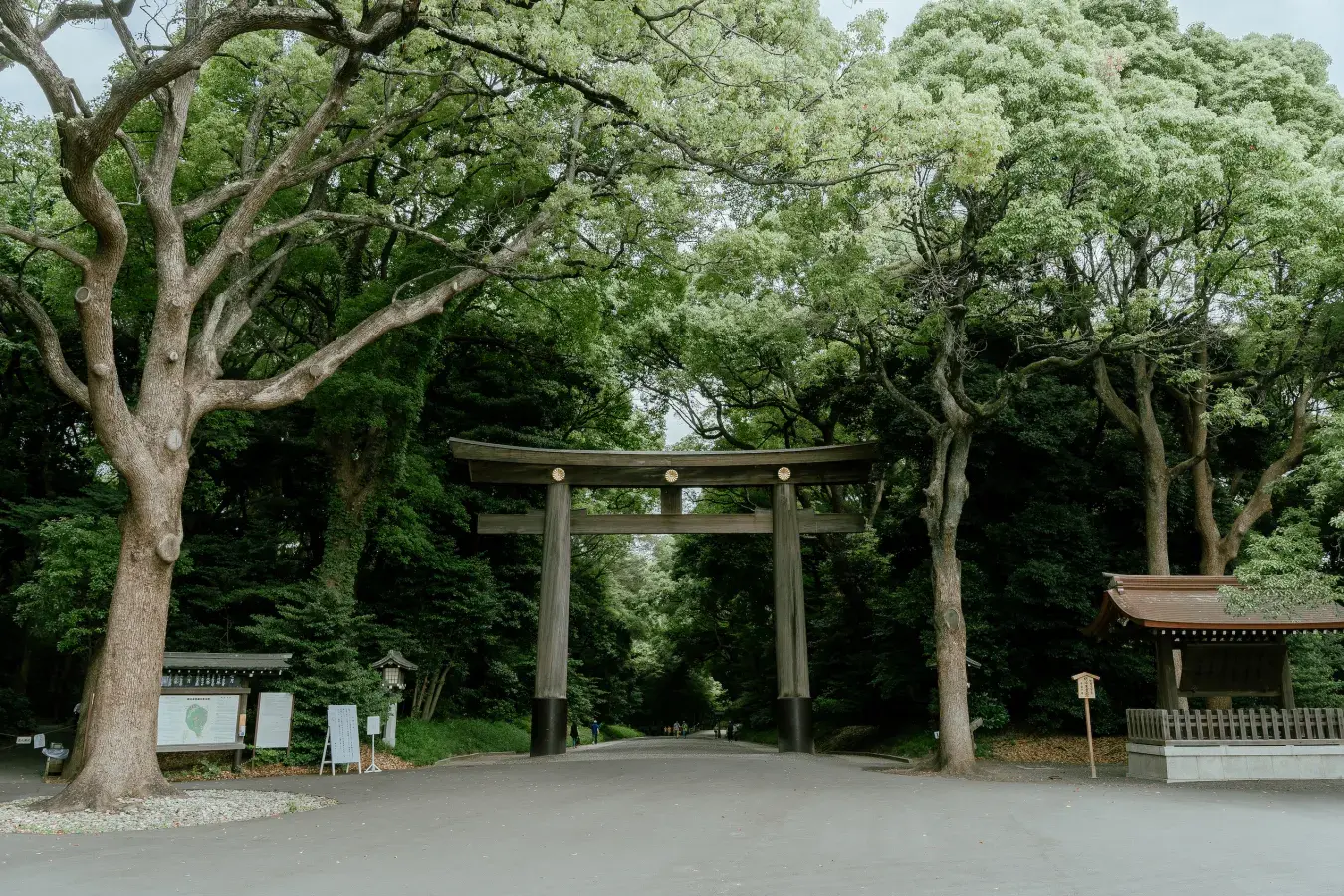 Essential Japan. Meiji-jingu_Shrine___Harajuku